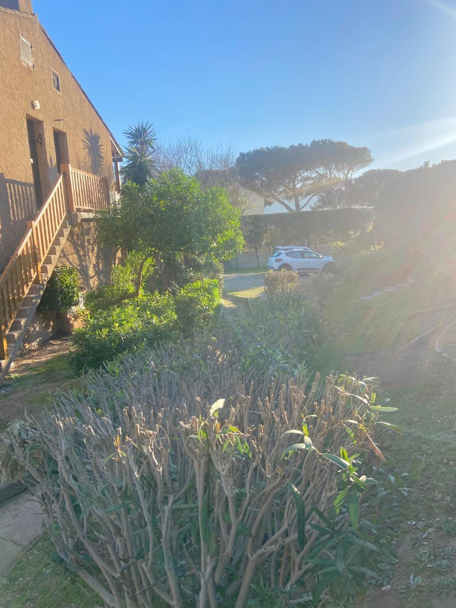 Tres Bel Appartement Les Pieds Dans L'Eau Appietto Exterior photo